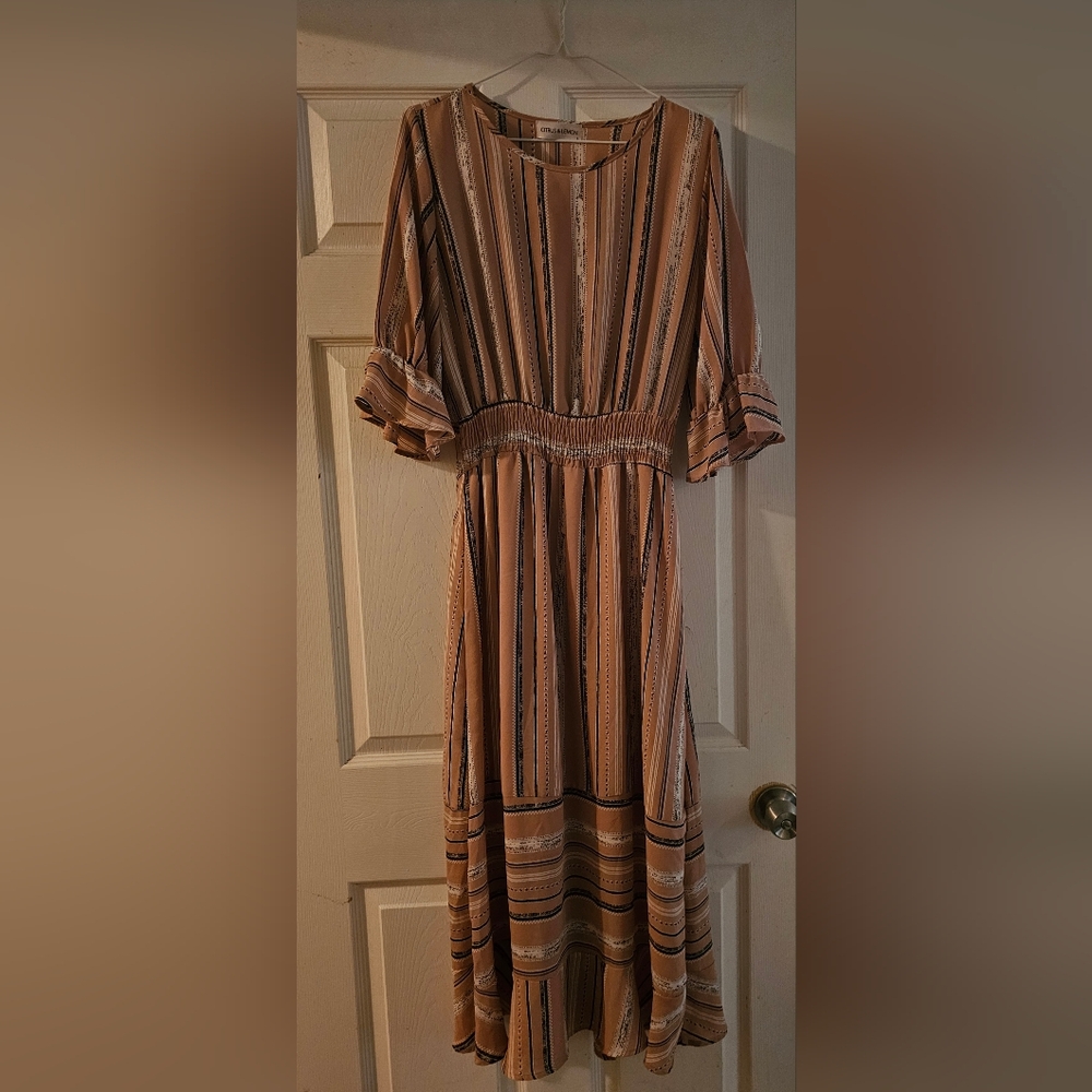 Citrus & Lemon  womens dress size large
